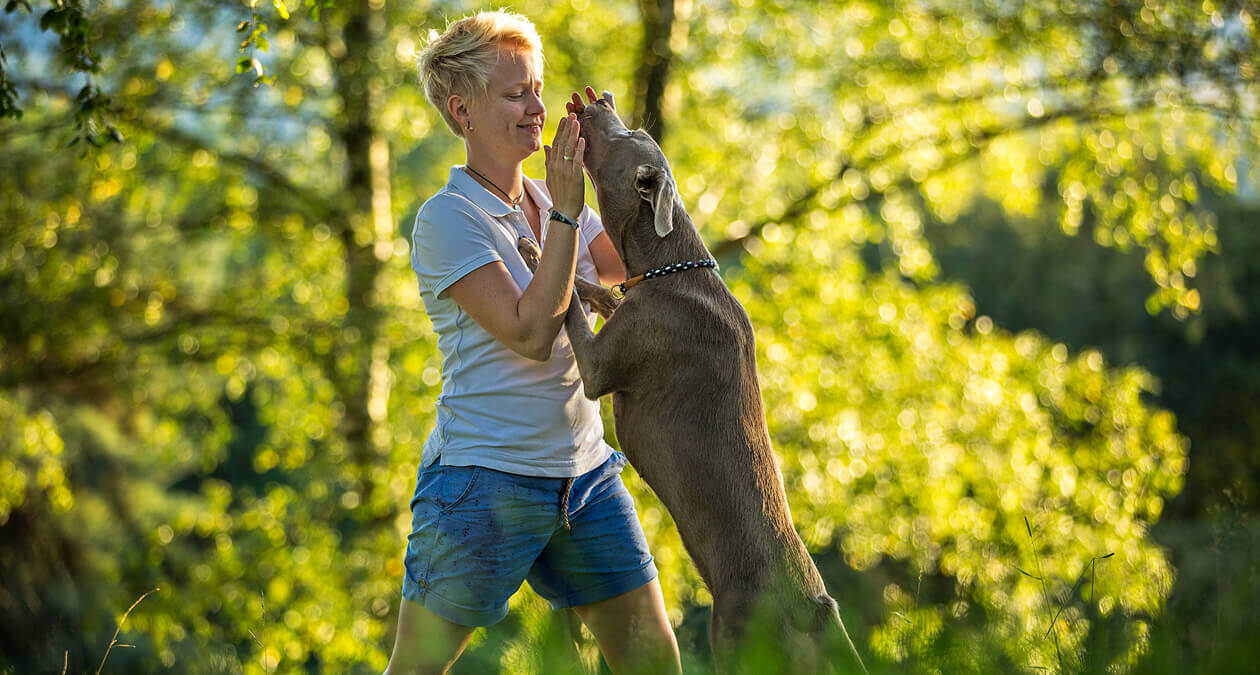 Welcher Hund bzw. welche Hunderasse passt zu mir?