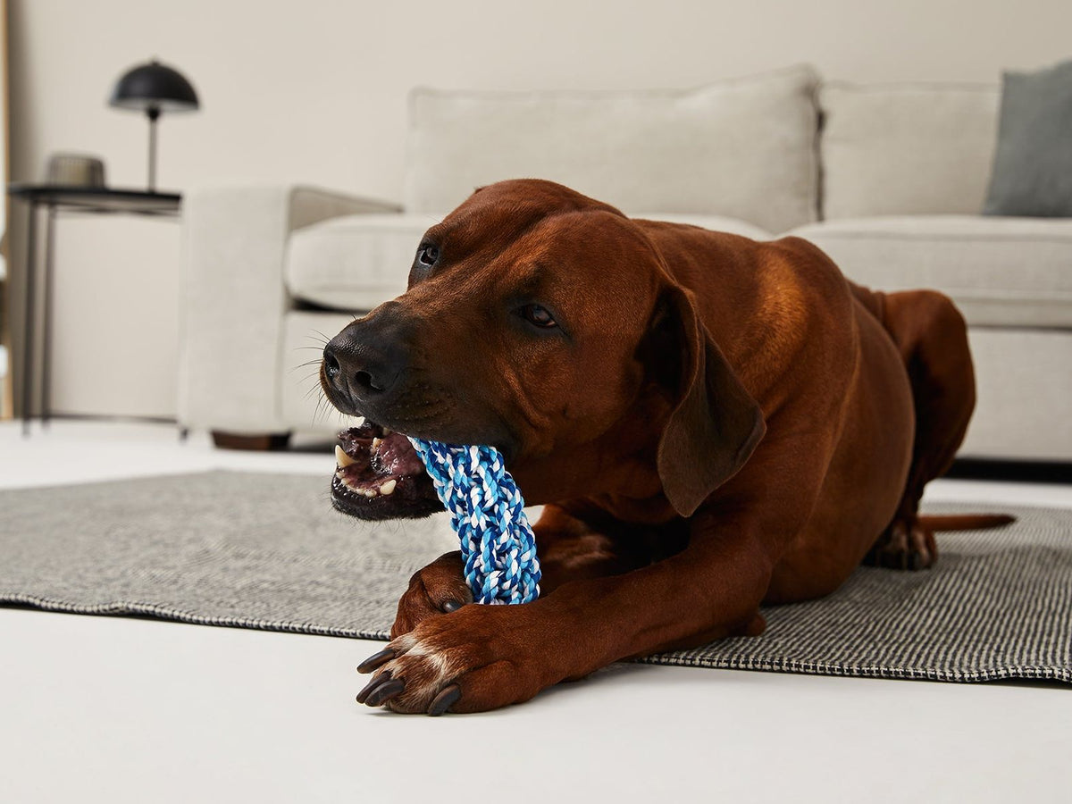 Chew knot