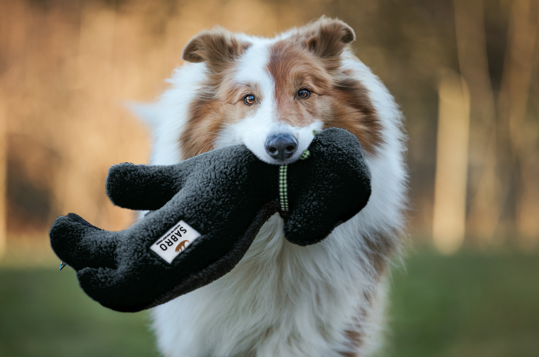 Lamm LOTTE Hundespieltier