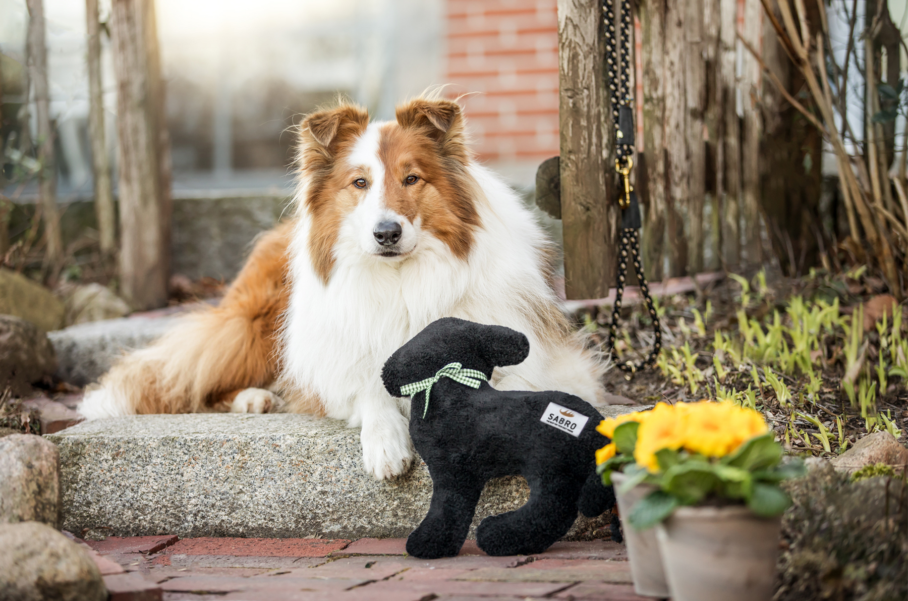 Lamm LOTTE Hundespieltier