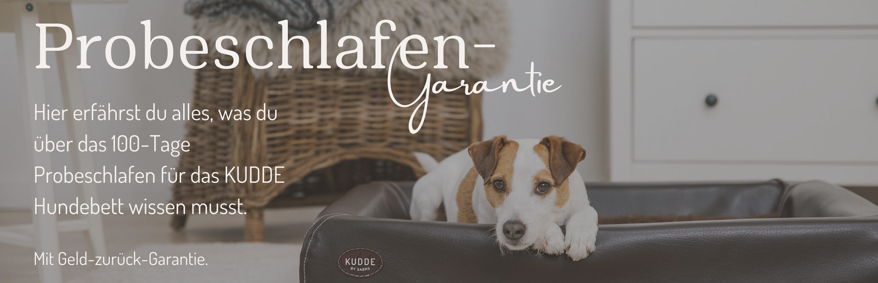 Heorimage Probeschlafen Desktop