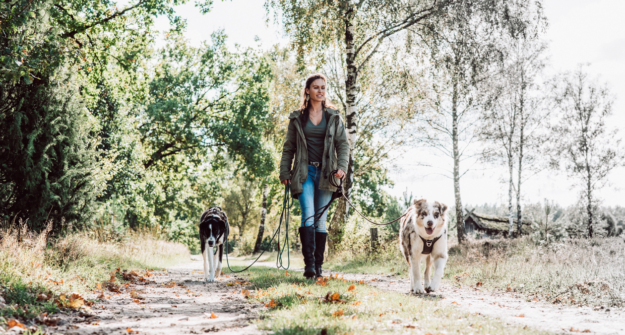 Dein Hund zieht an der Leine? Tipps & Tricks zur Leinenführigkeit