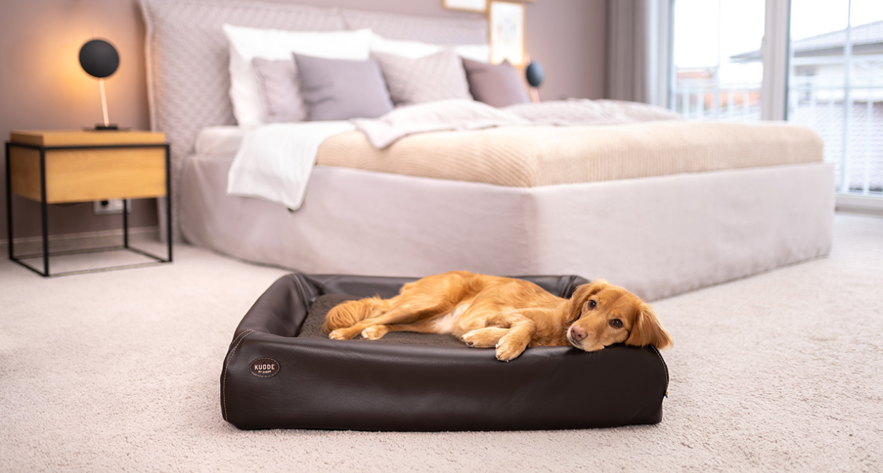 Alles über die „neuen“ KUDDE Hundebetten