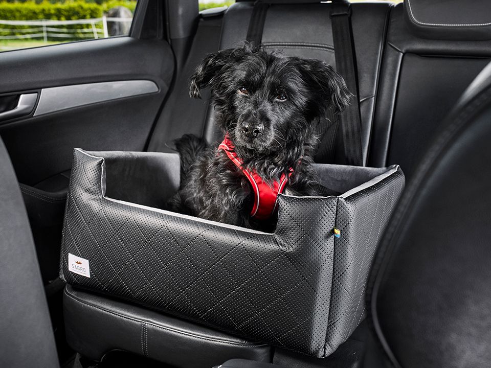 Autositz für Hunde RIDA