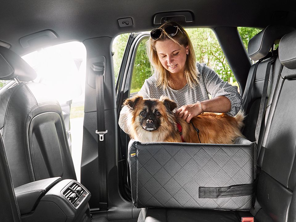 Autositz für Hunde RIDA