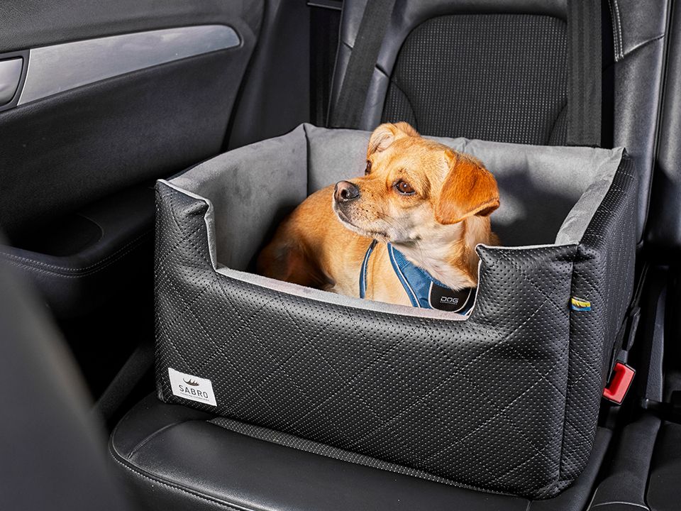 Autositz für Hunde RIDA