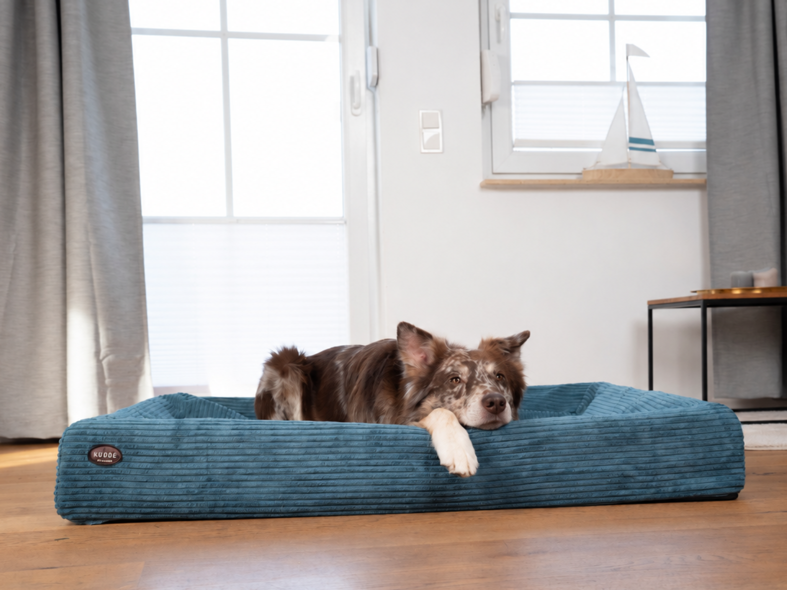ocean
