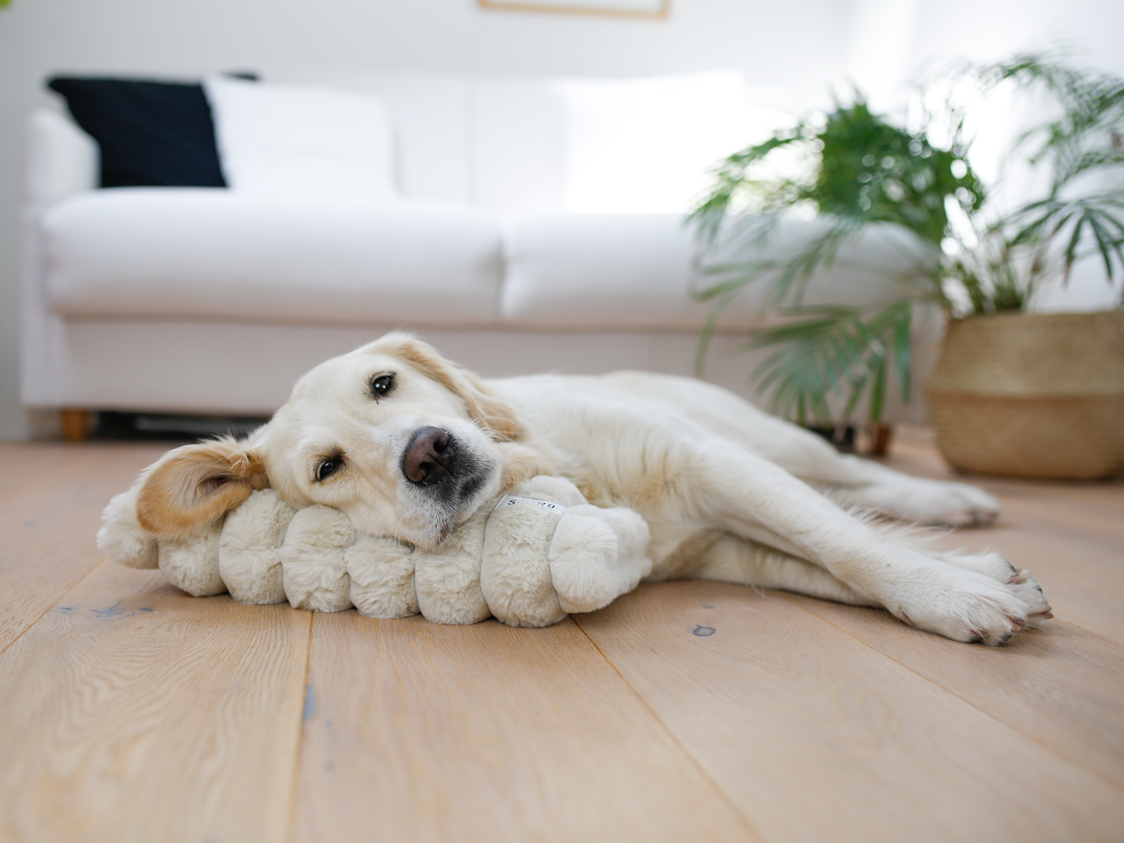 cream