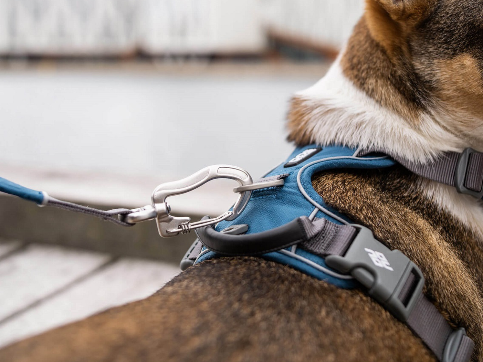 Hundeleine V2 URBAN TRAIL LEASH