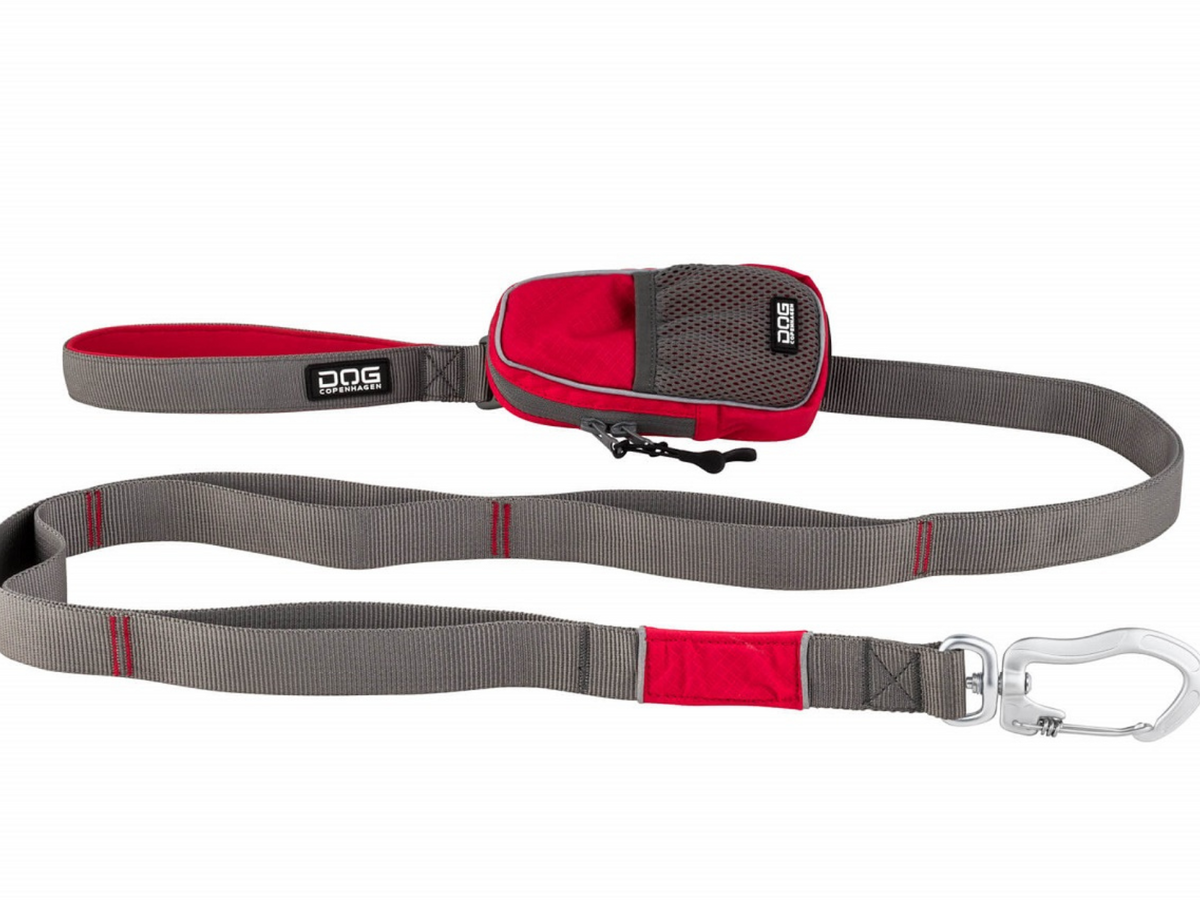 Hundeleine V2 URBAN TRAIL LEASH