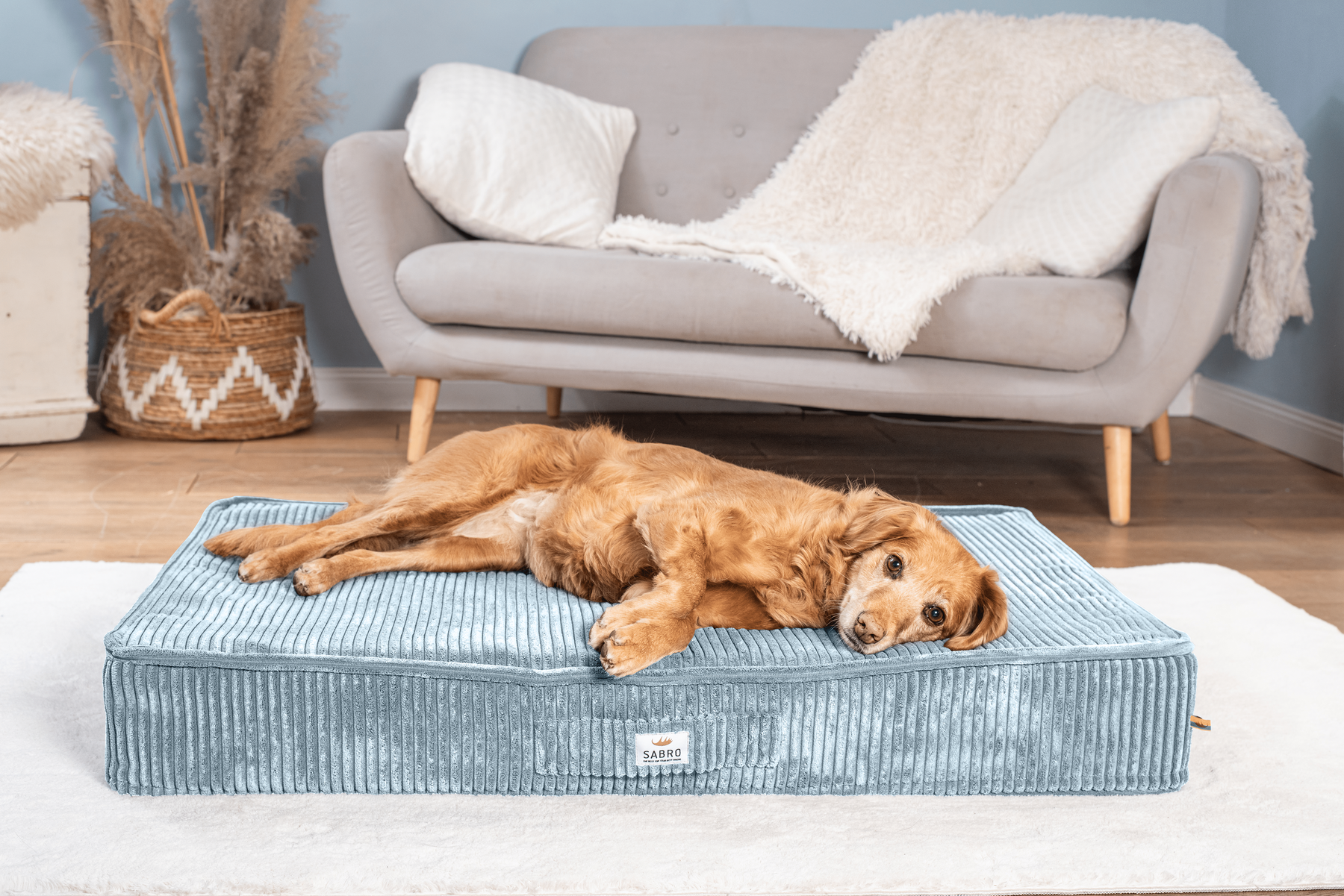 Bezug für SOVA Cord