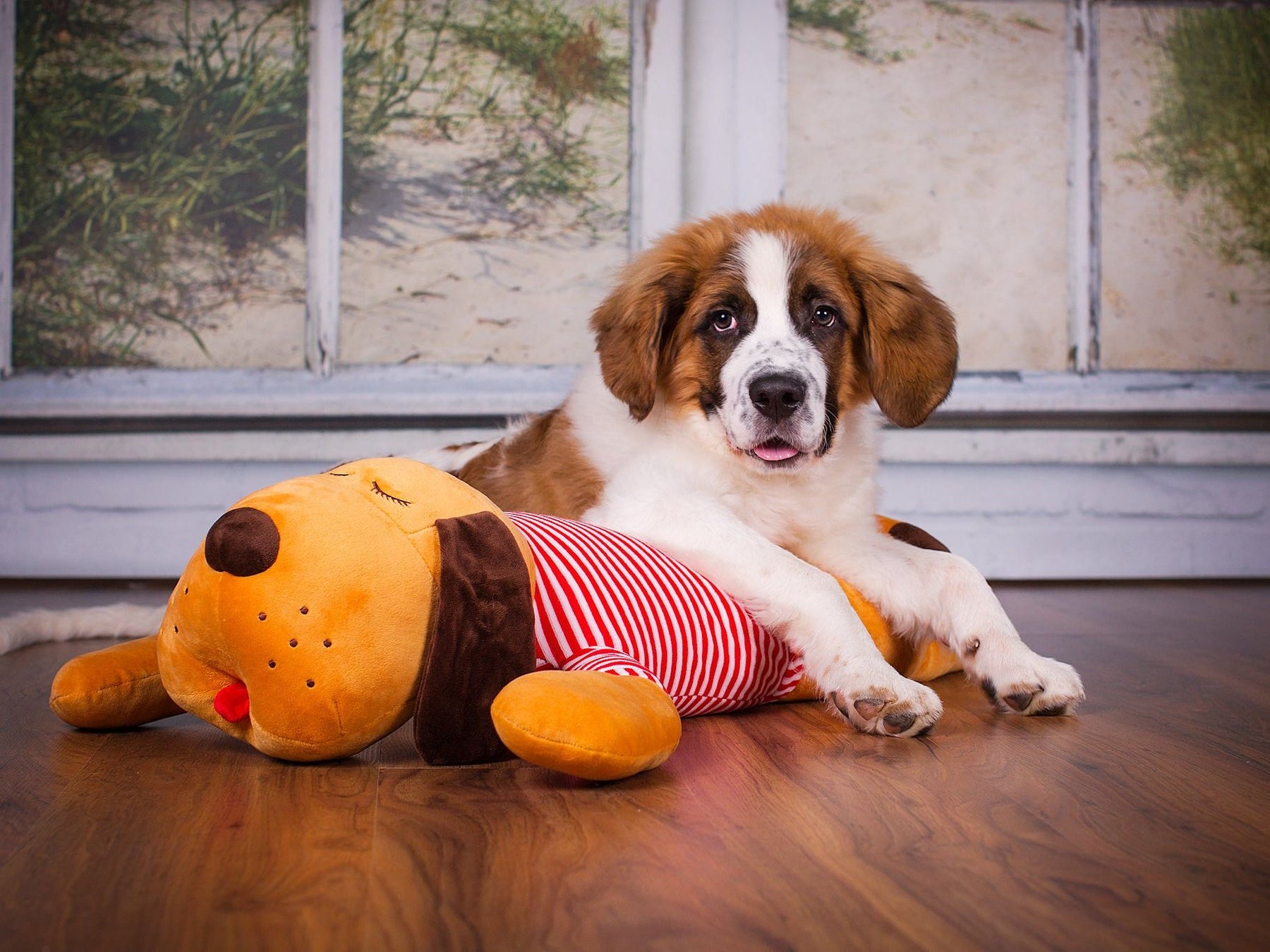 Ankuschelhund TOMTE