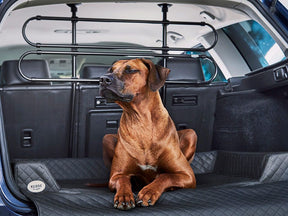 Auto Hundebett Vagn