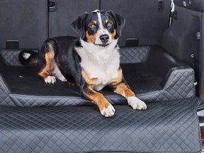 Auto Hundebett Vagn